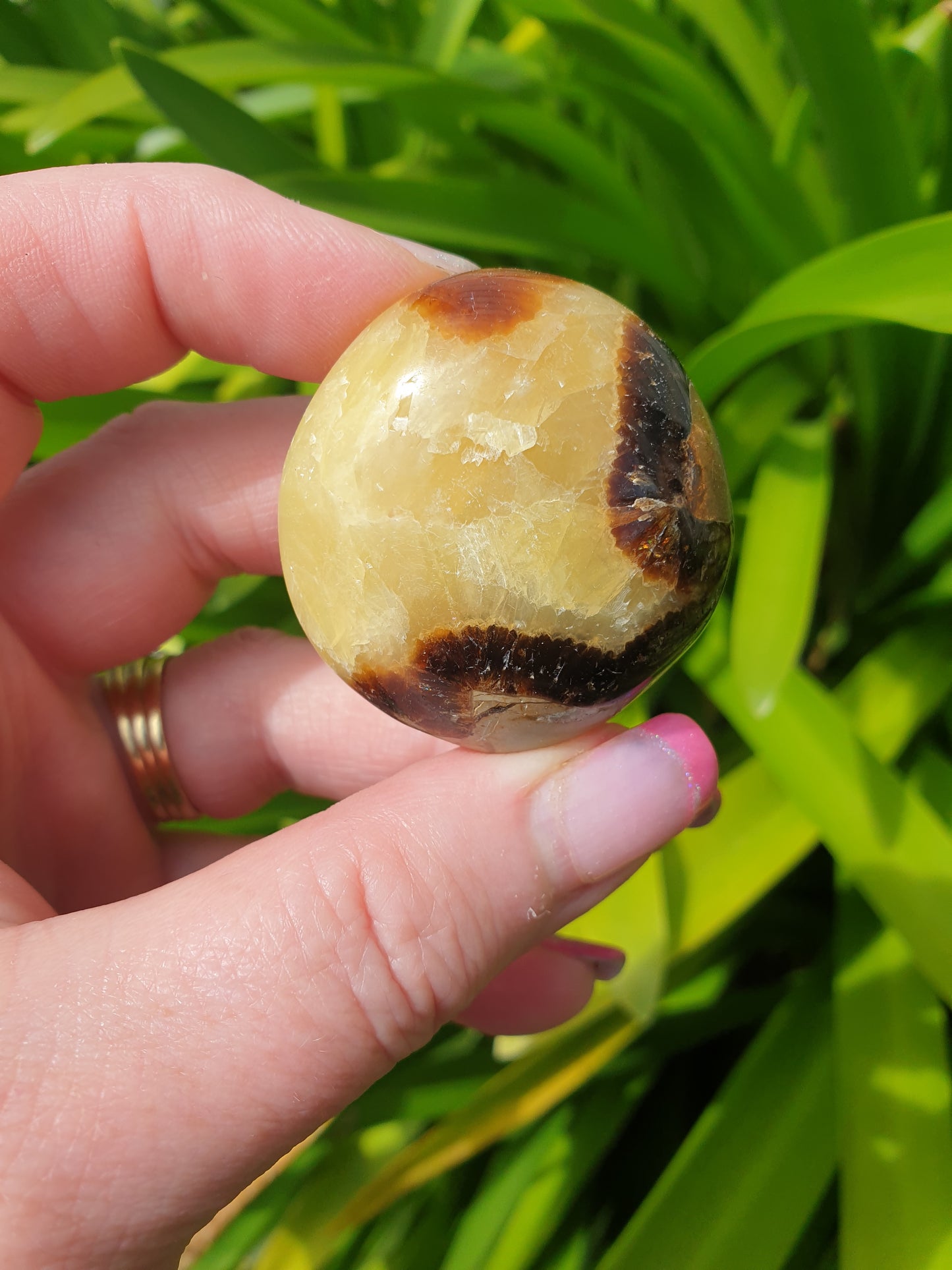 Septarian XL Tumbled Stone