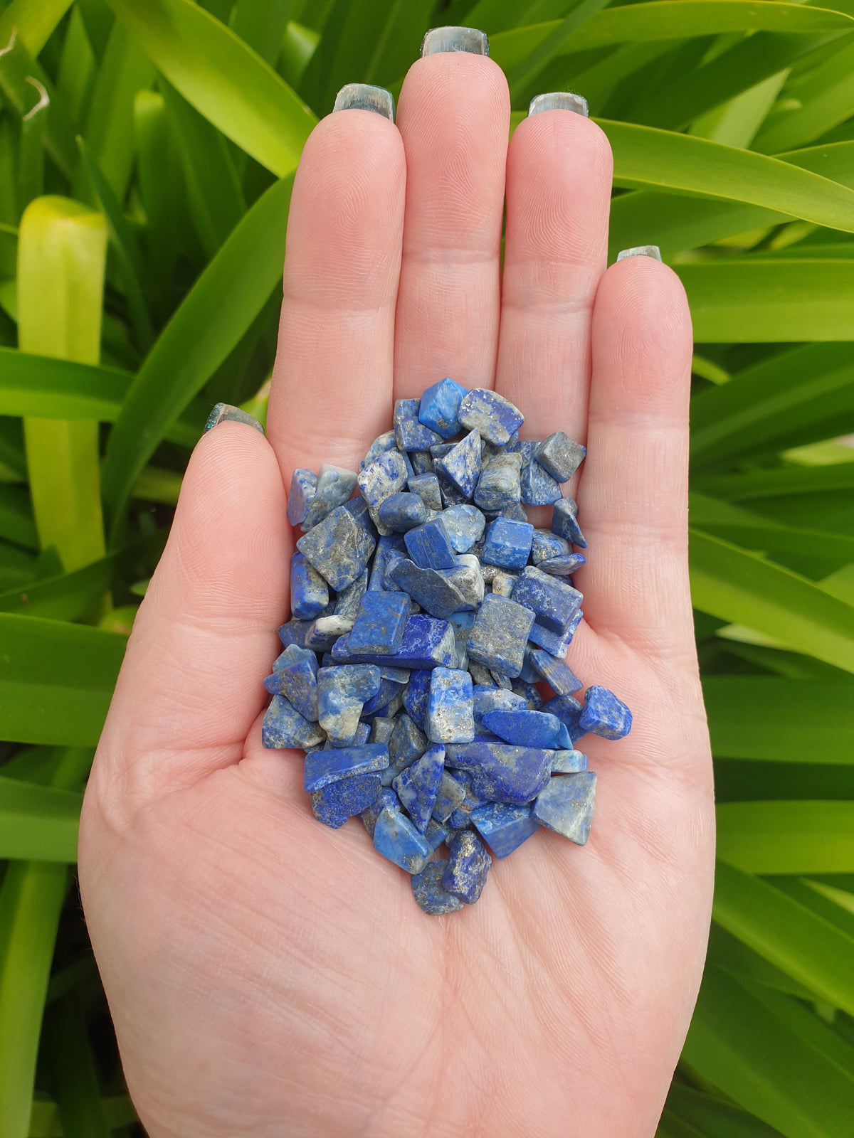 Lapis lazuli Crystal Chip 100g Bag