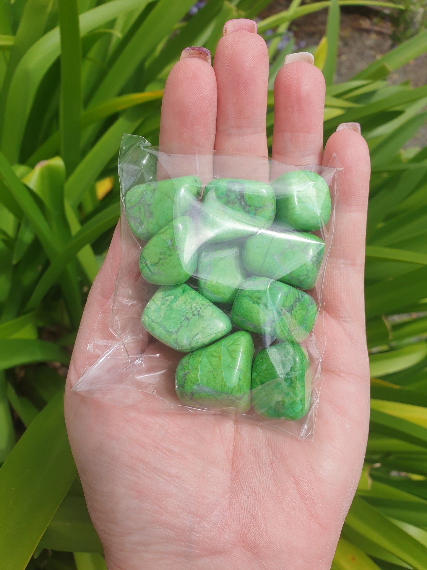 Howlite Green Tumbled Stones 10 Pack Valued at $30