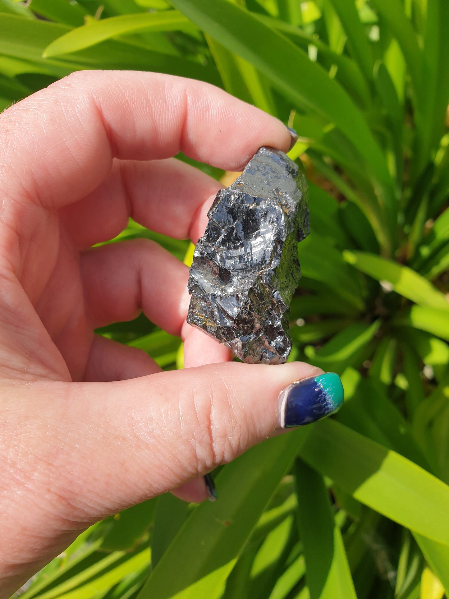 Elite Shungite Rough Piece D