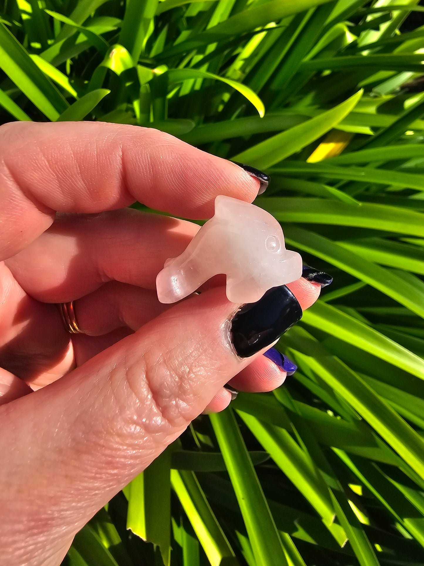 Rose Quartz Mini Dolphin