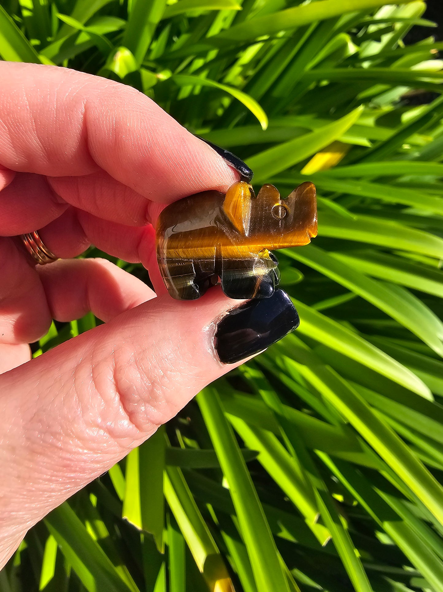 Tigers Eye Mini Rhino