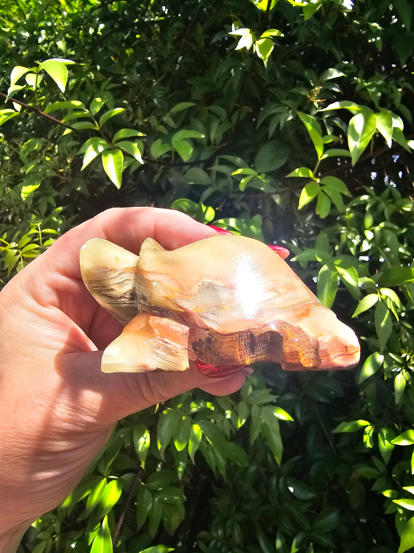 Banded Calcite Turtle Small A