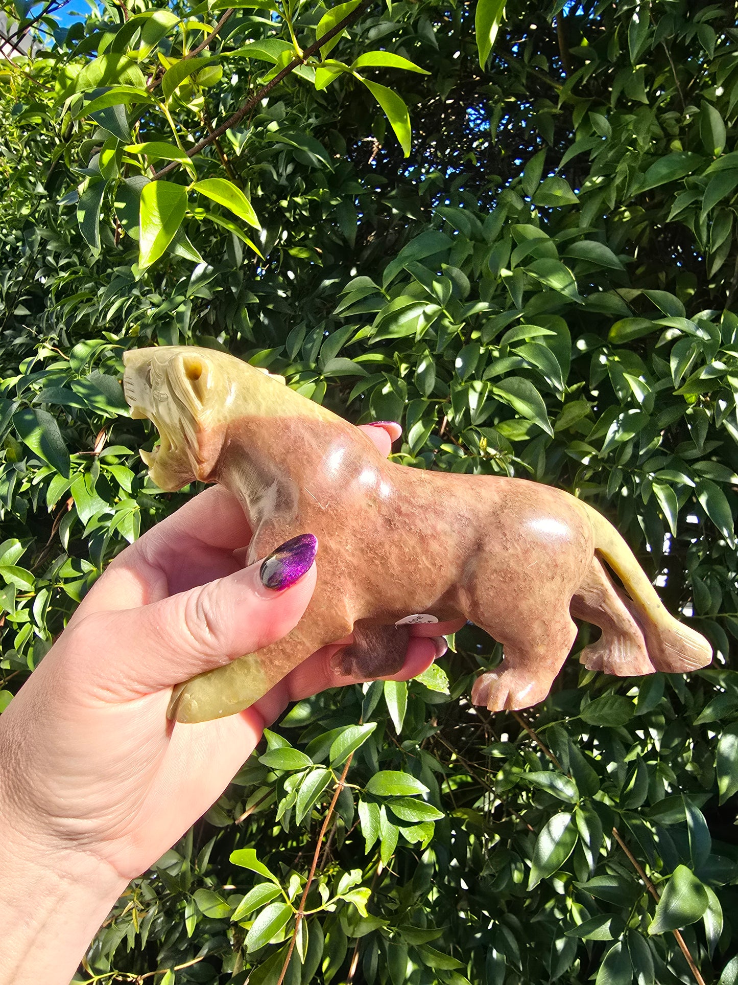 Tiger Large Soapstone A