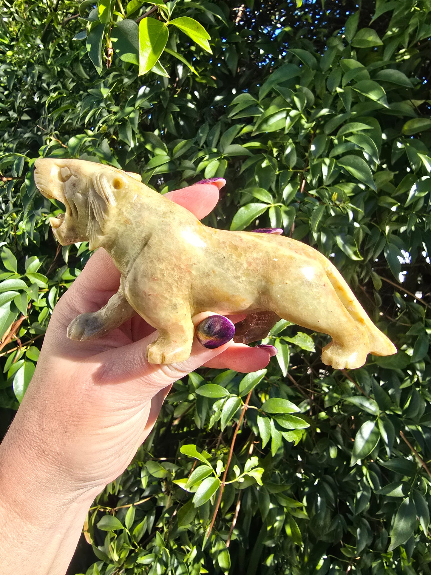 Tiger Medium Soapstone B