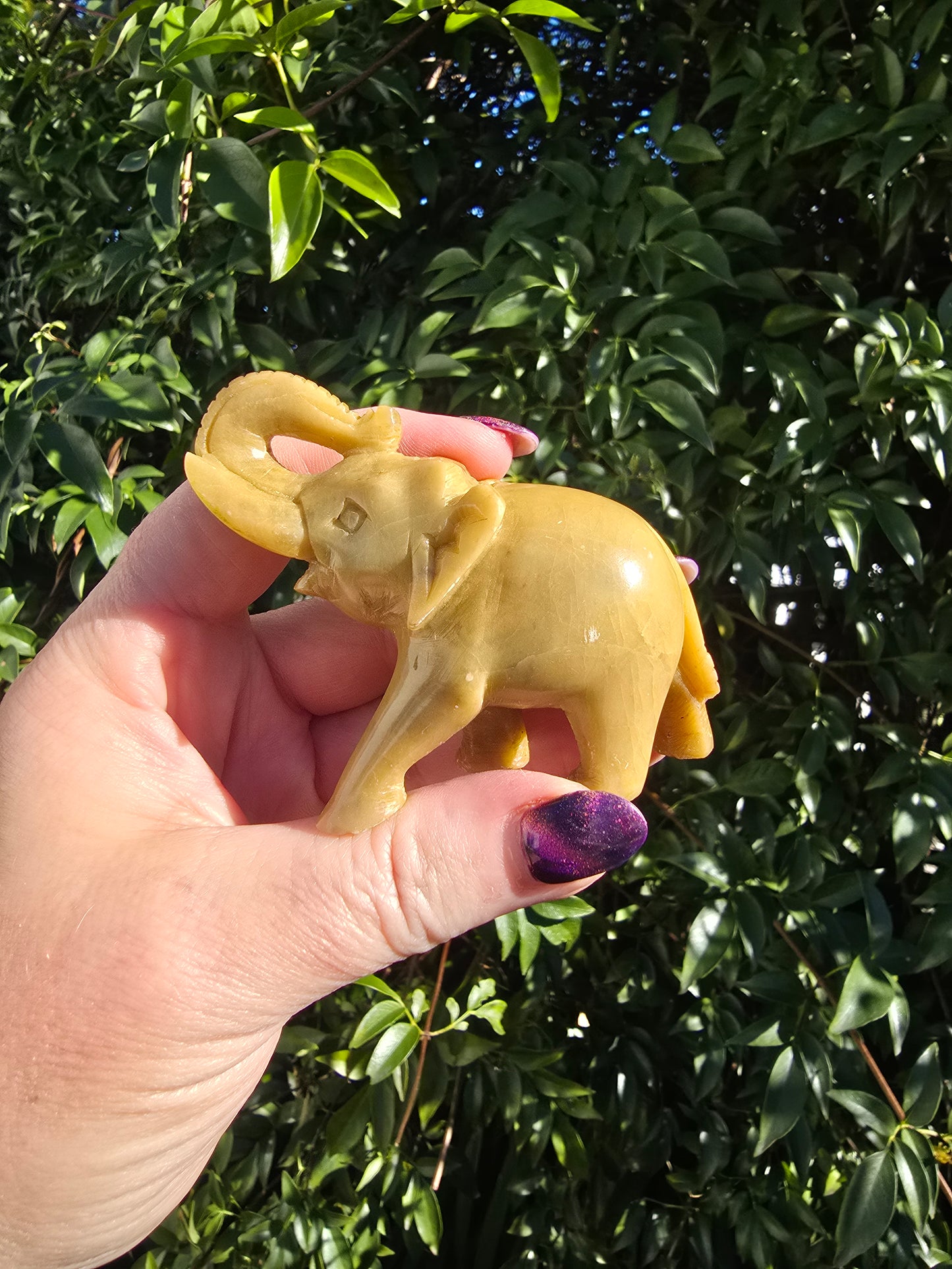 Elephant Medium Soapstone A