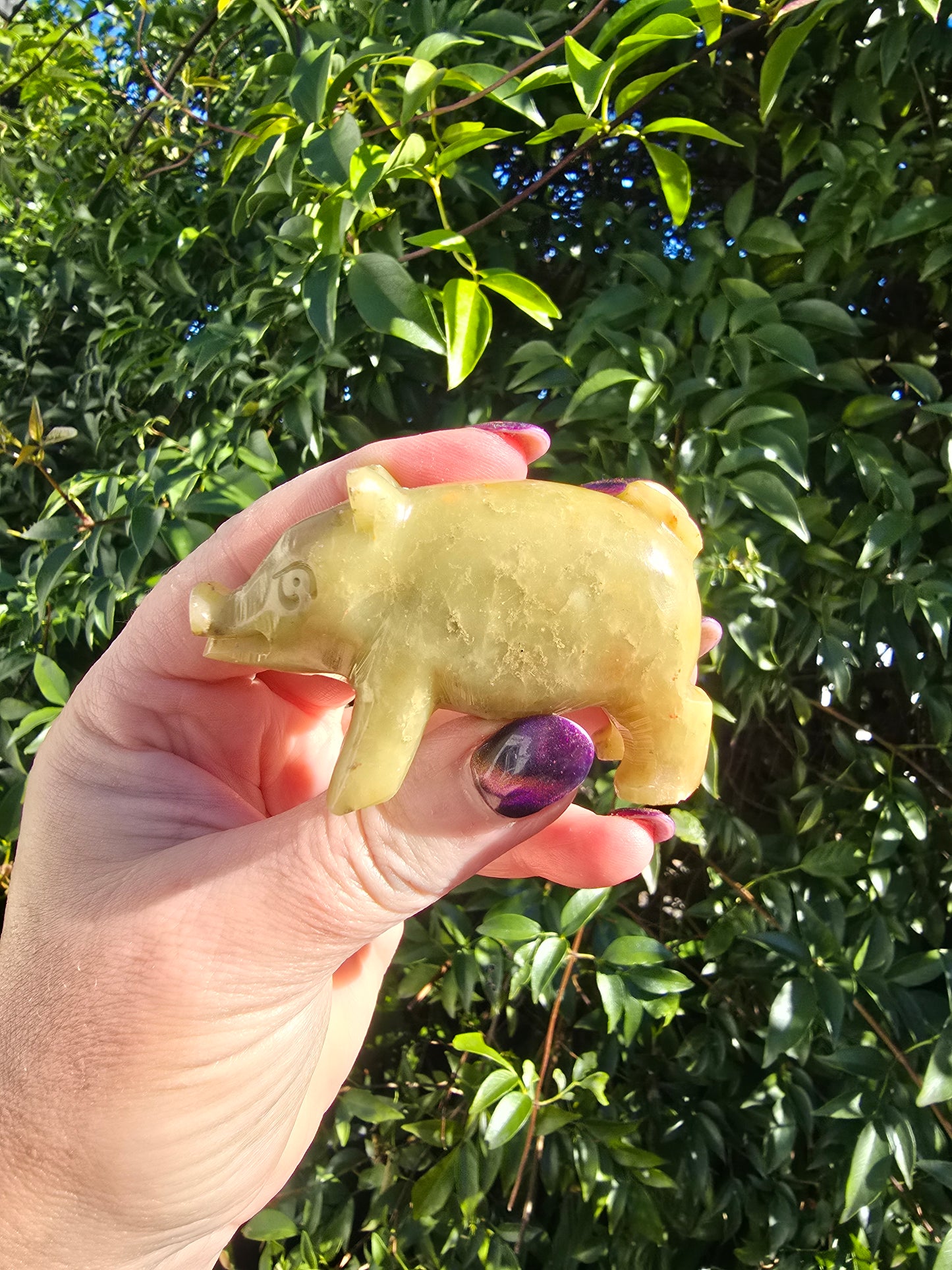 Pig Medium Soapstone A