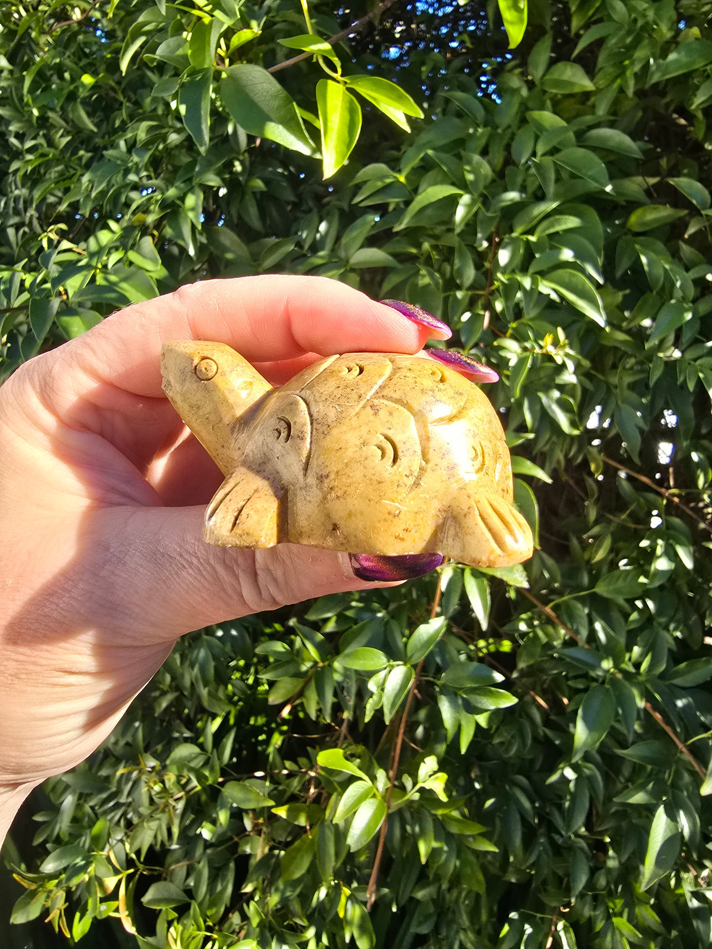Turtle Soapstone C