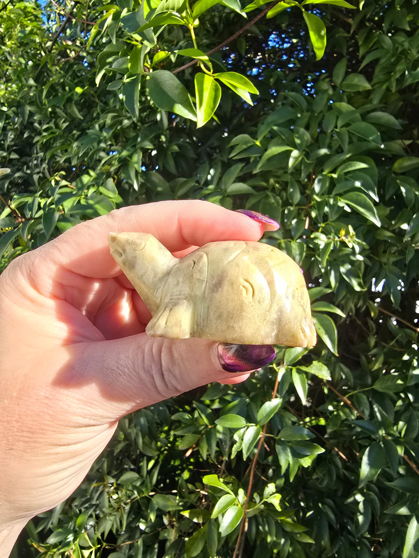 Turtle Soapstone D