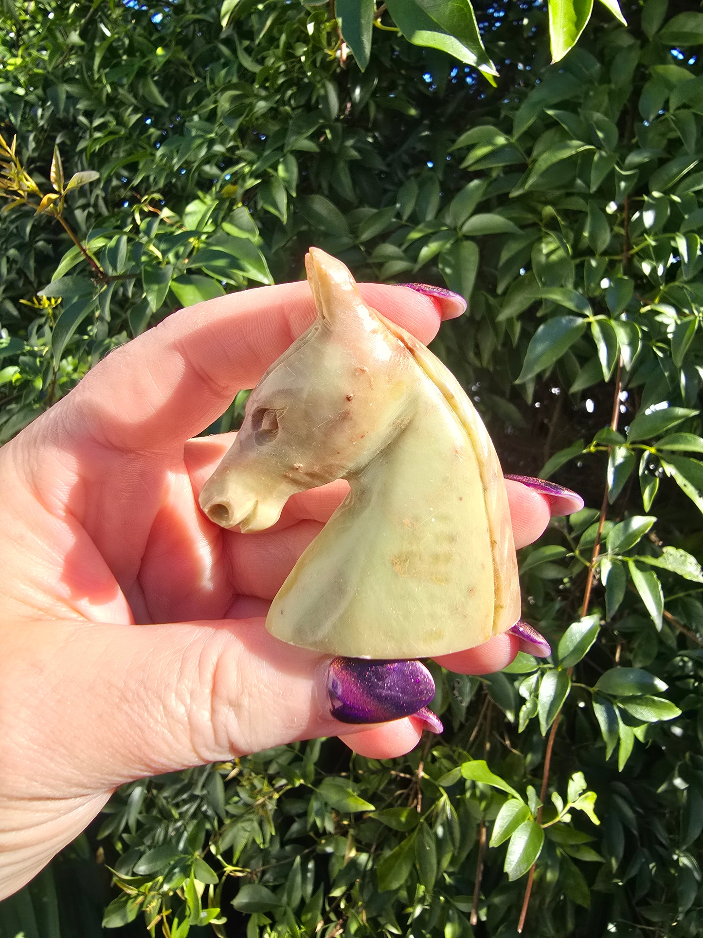 Horse Head Small Soapstone A