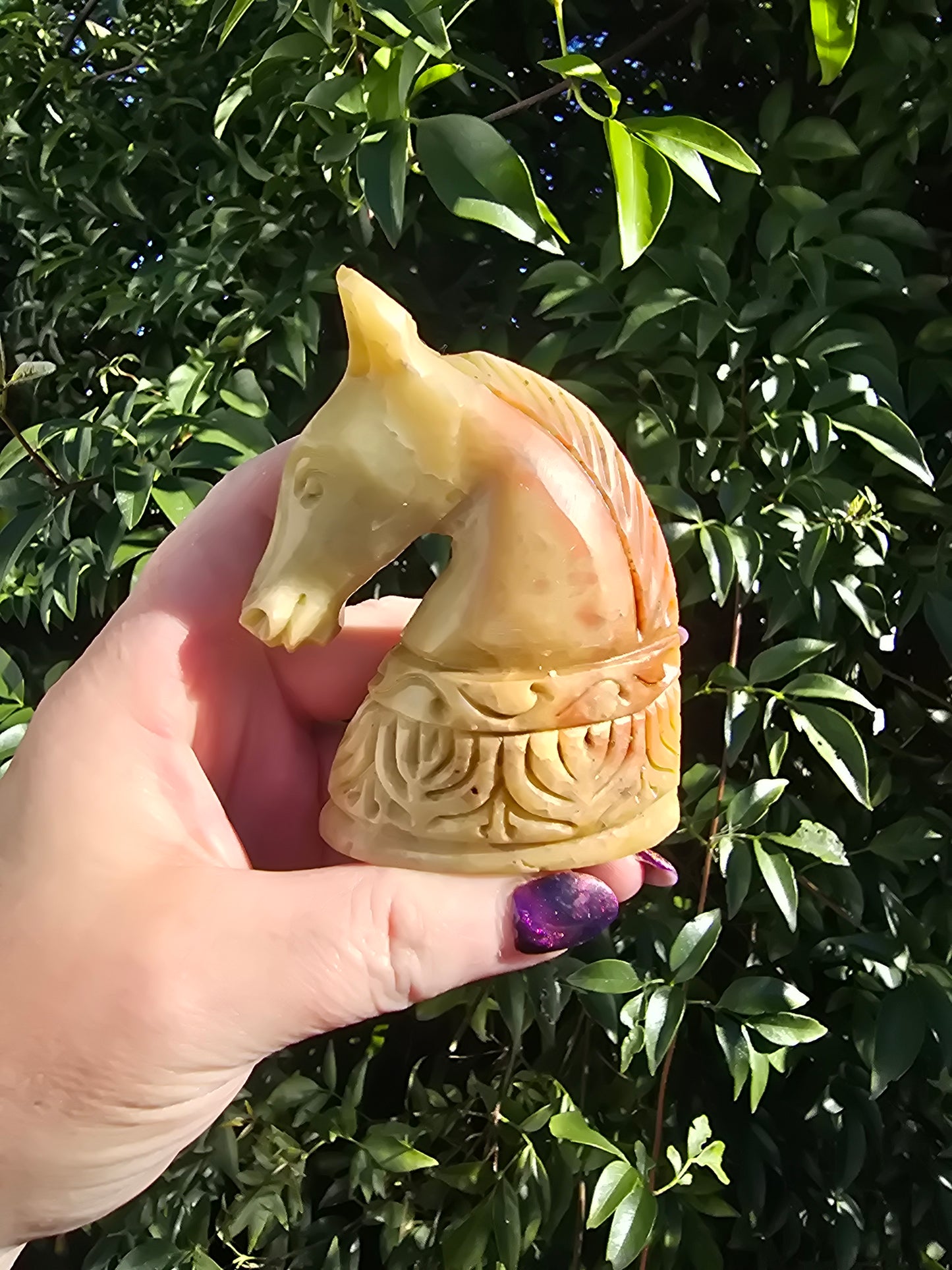 Horse Head Large Soapstone A