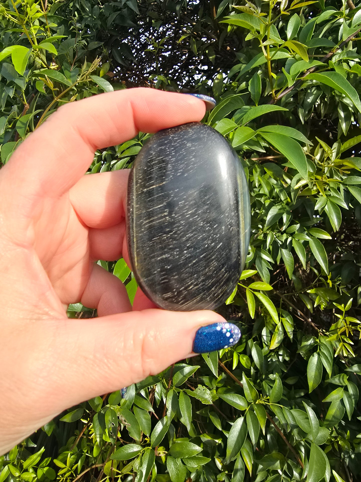 Blue Tigers Eye Palm Stone B