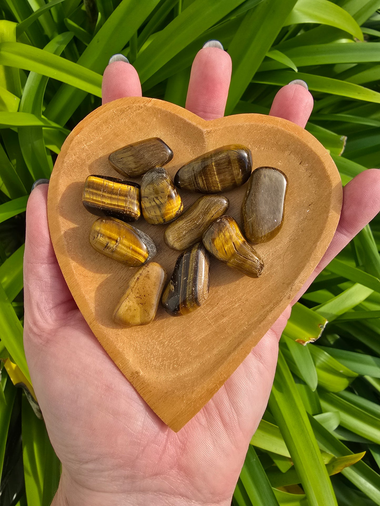 Tigers Eye Tumbled Stones 10 Pack Valued at $30