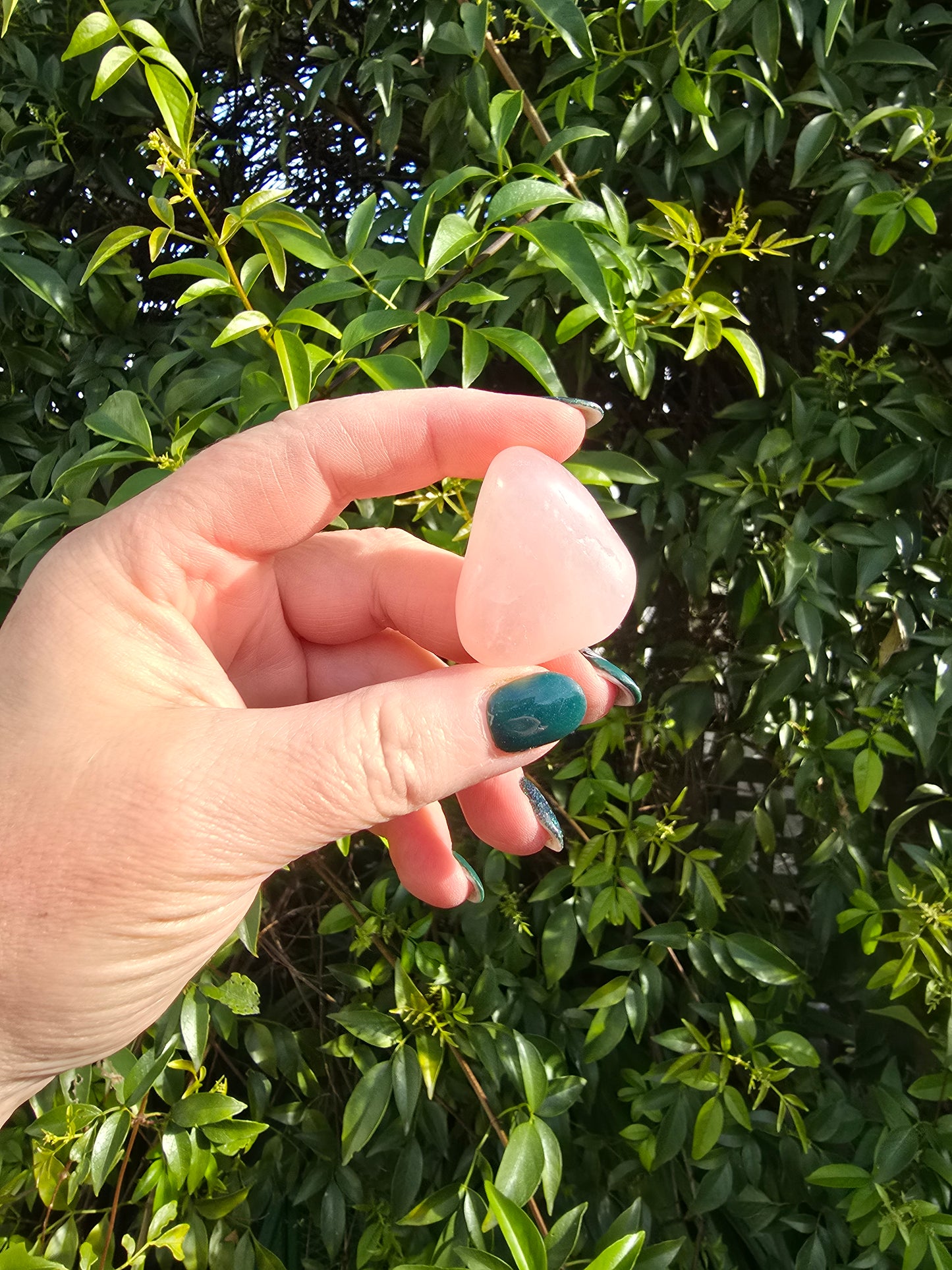 Rose Quartz Tumbled Stone Medium