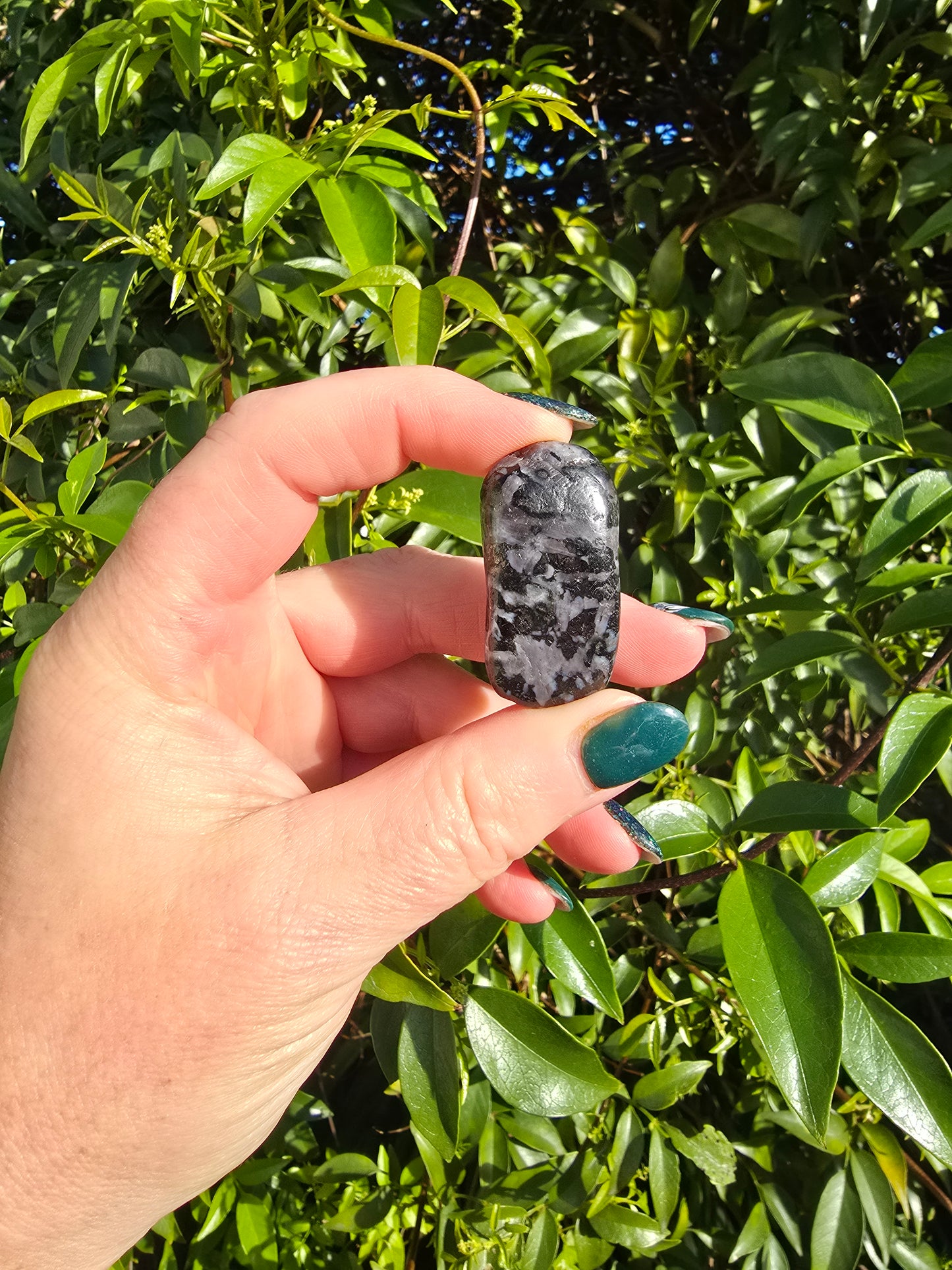 Indigo Gabbro Tumbled Stone Medium