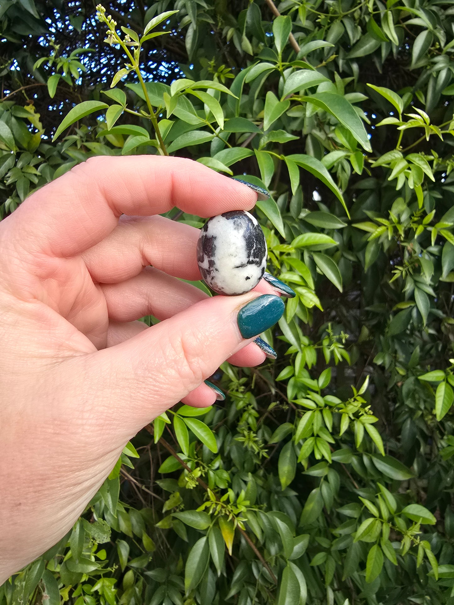 Black Zebra Jasper Tumbled Stone Small