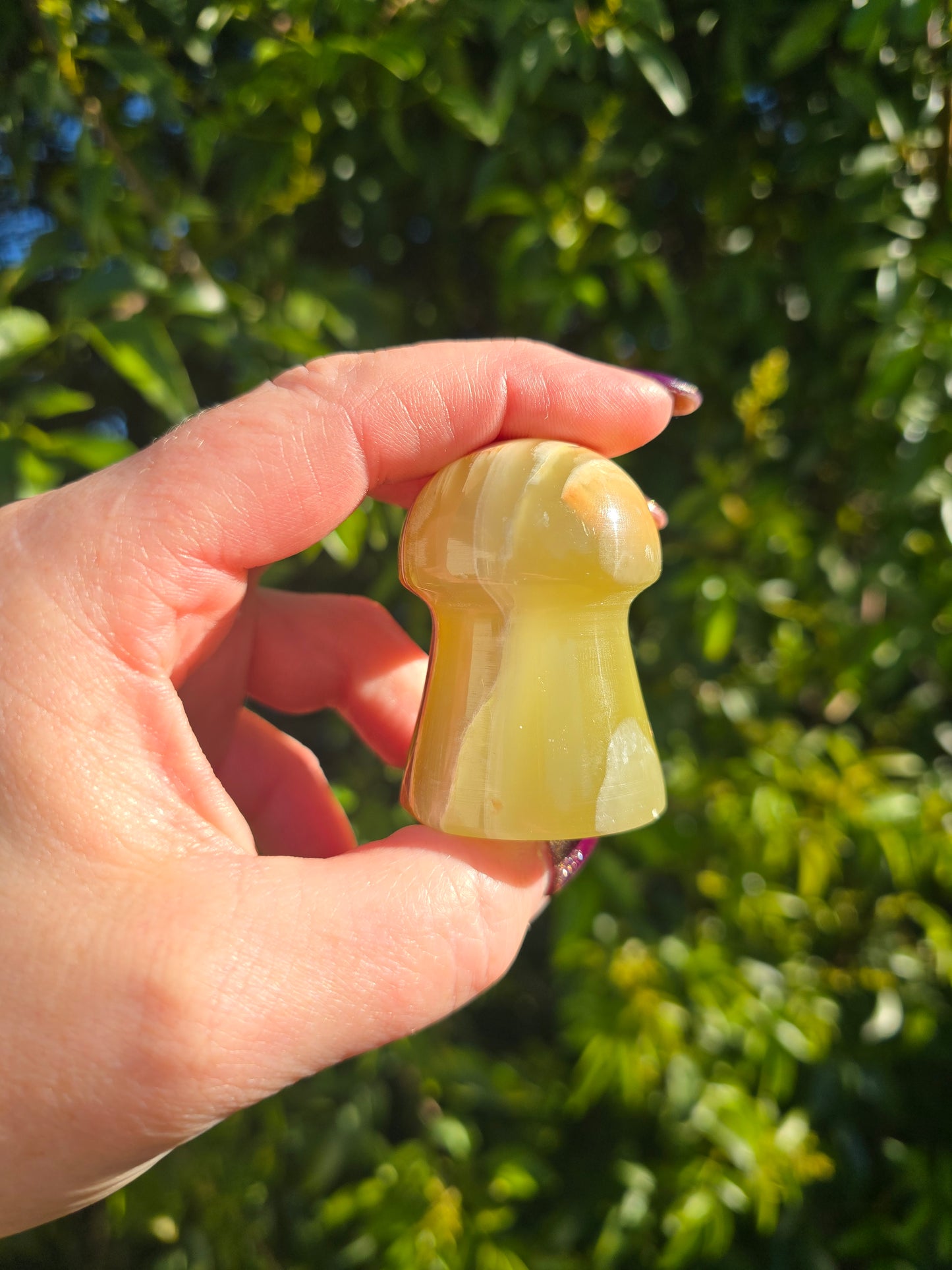 Banded Calcite Mushroom B