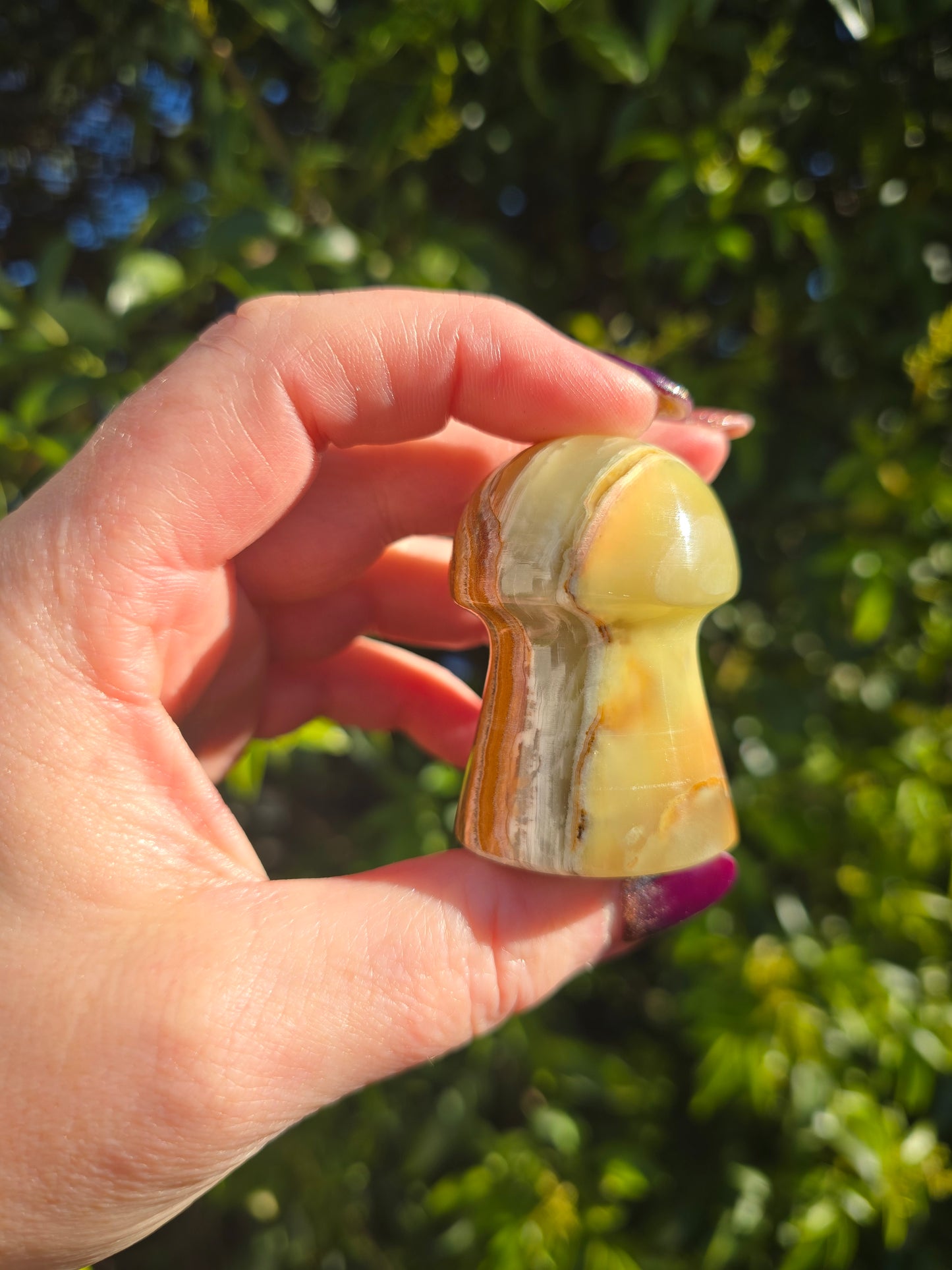 Banded Calcite Mushroom C