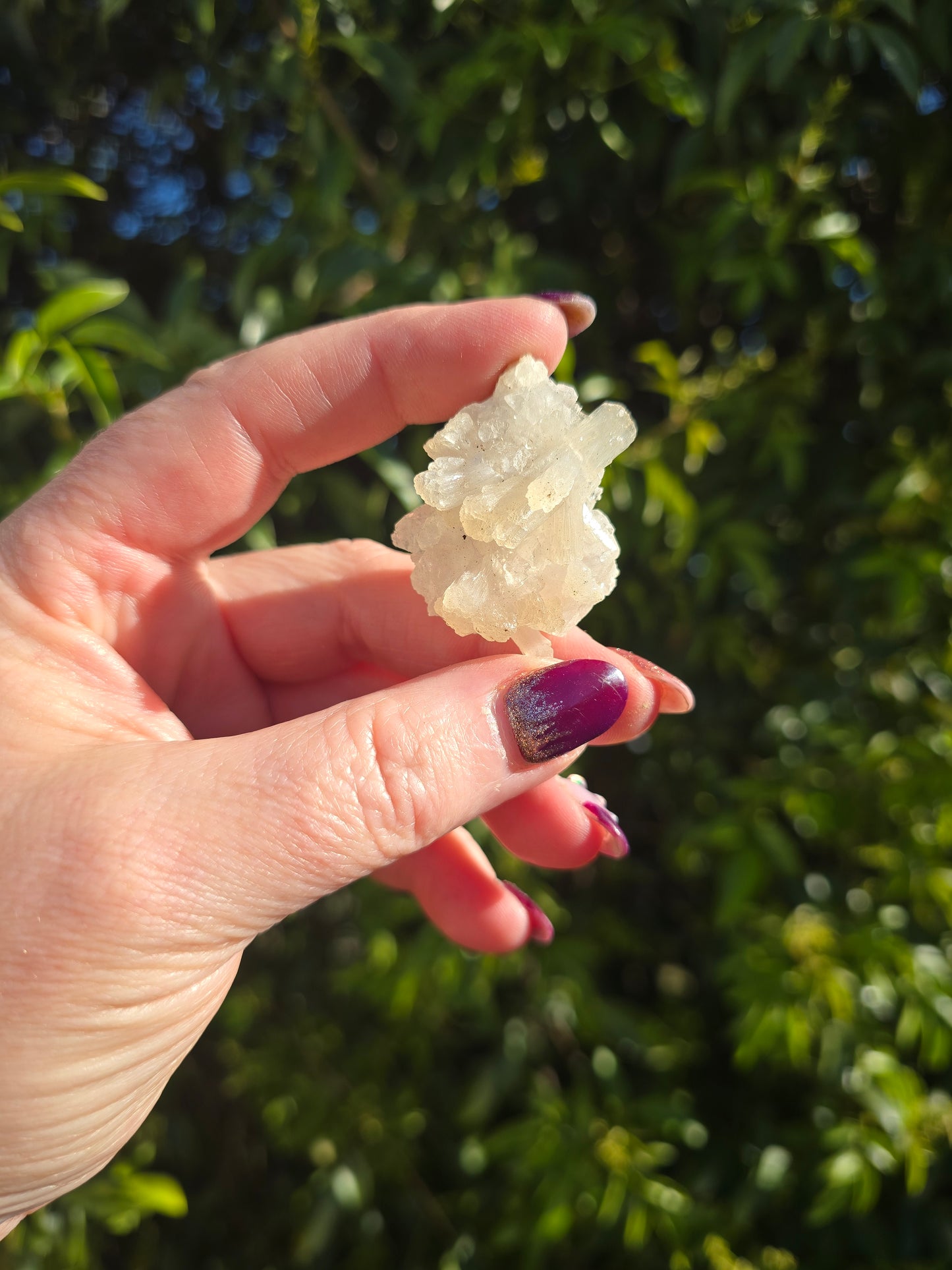 Zeolite Cluster | Small B
