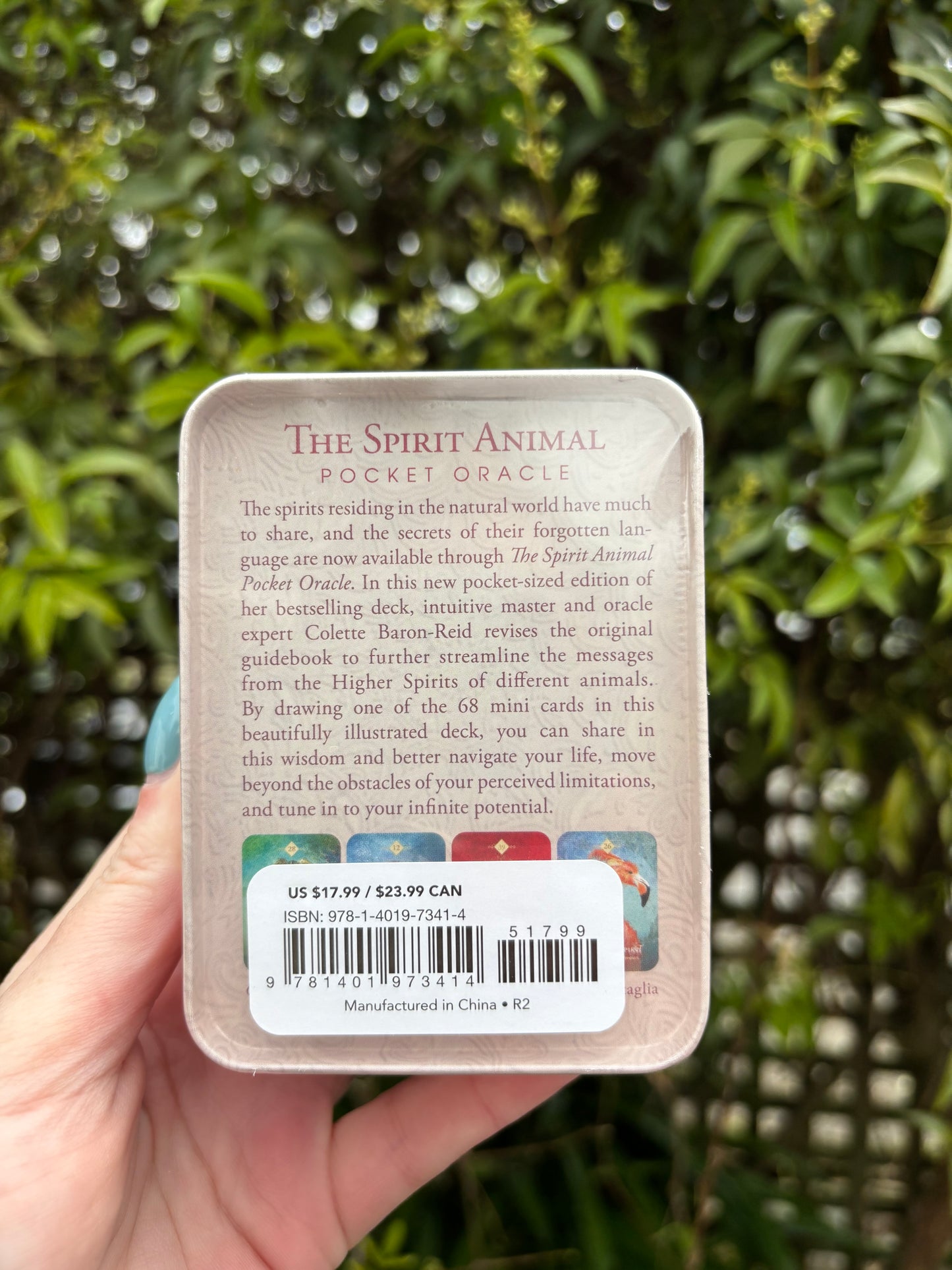 The Spirit Animal Pocket Oracle In Tin