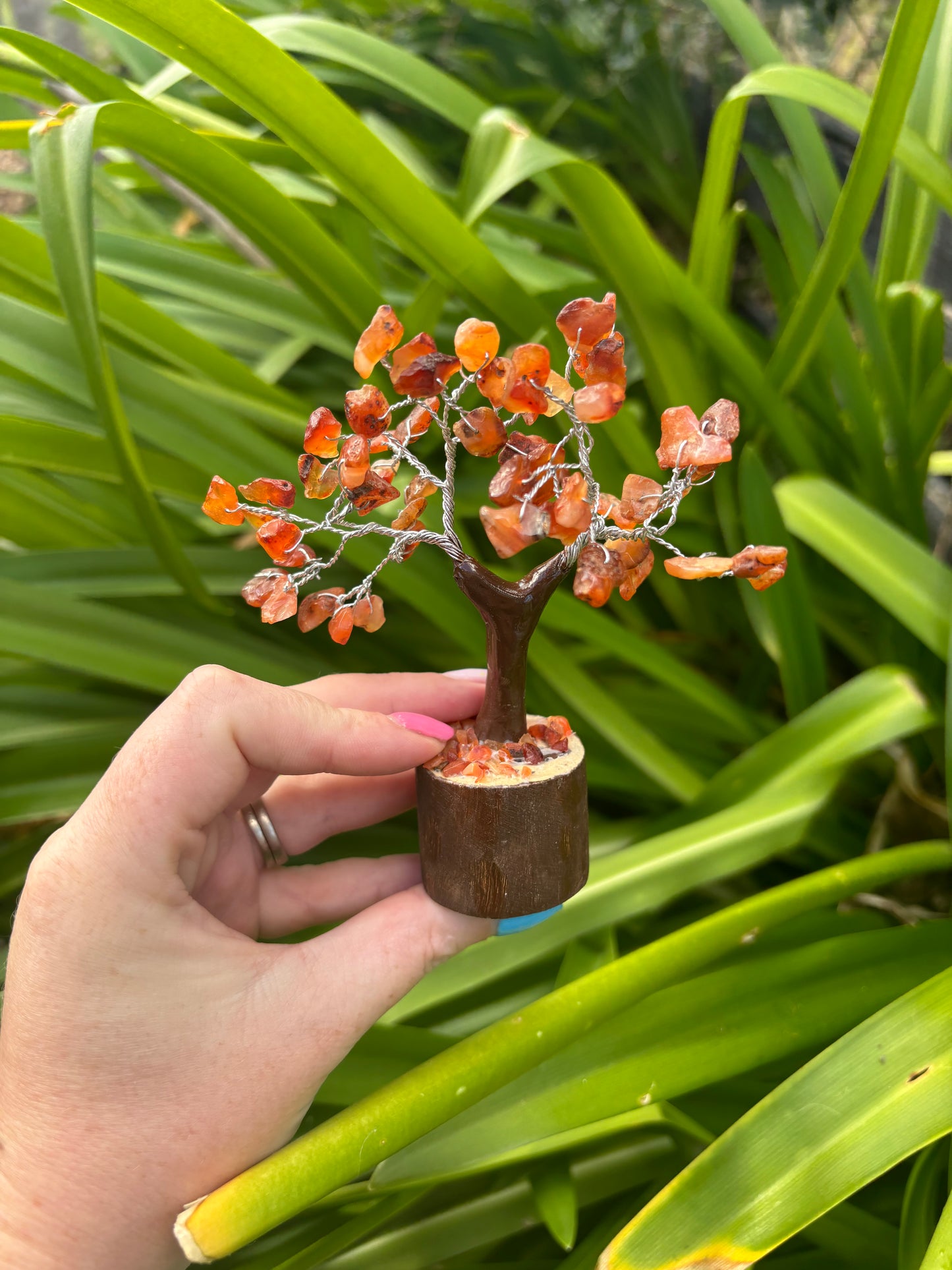 Carnelian Tree Small