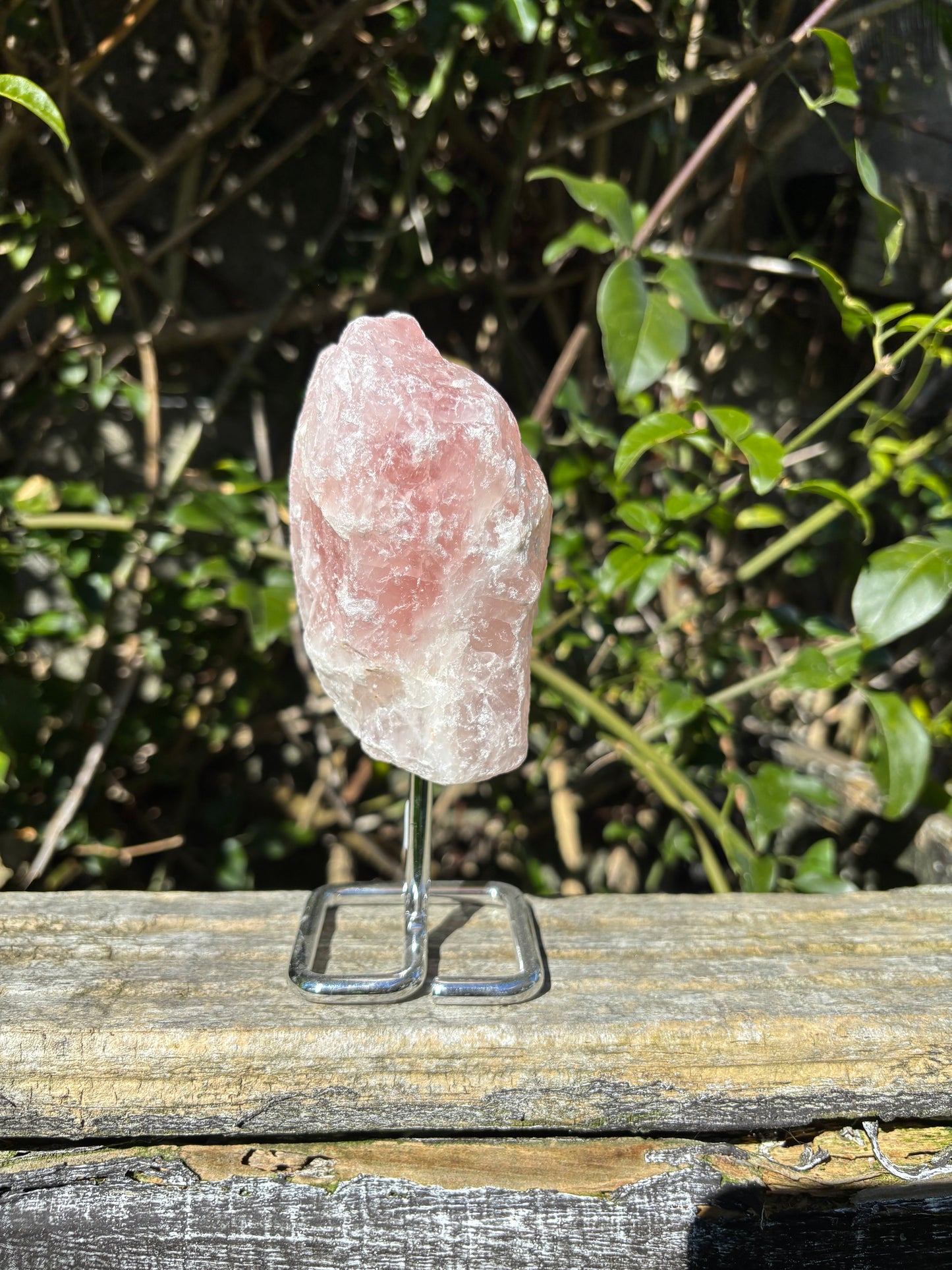 Rose Quartz Rough On Metal Stand B
