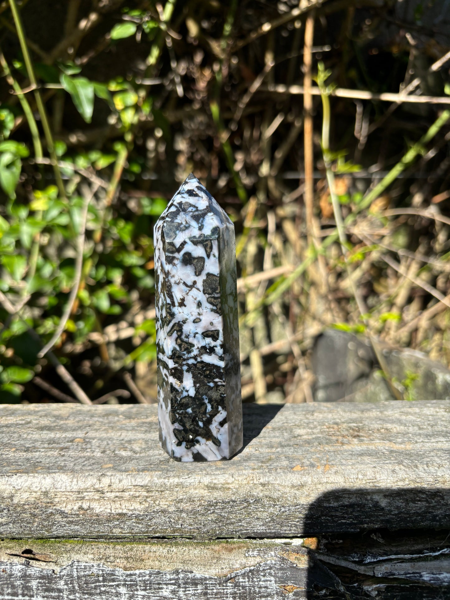 Indigo Gabbro Point E