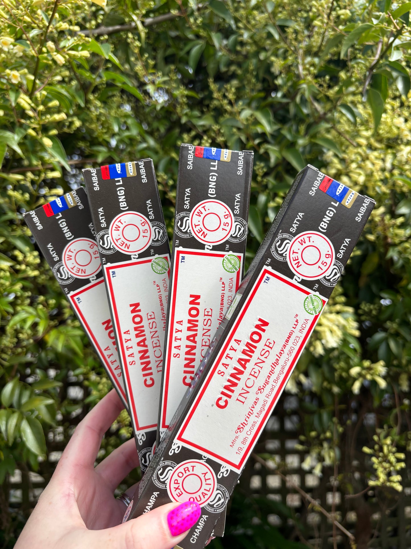 Cinnamon Incense Sticks