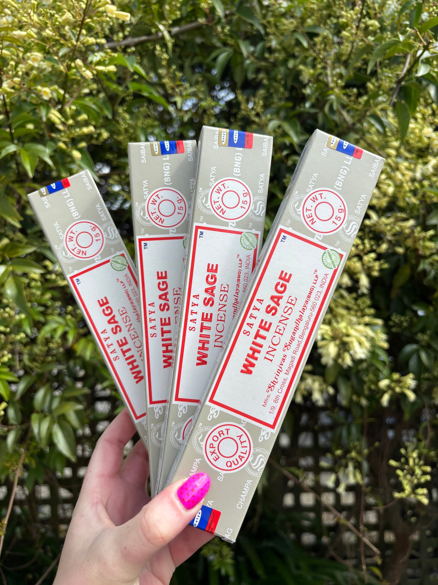 White Sage Incense Sticks