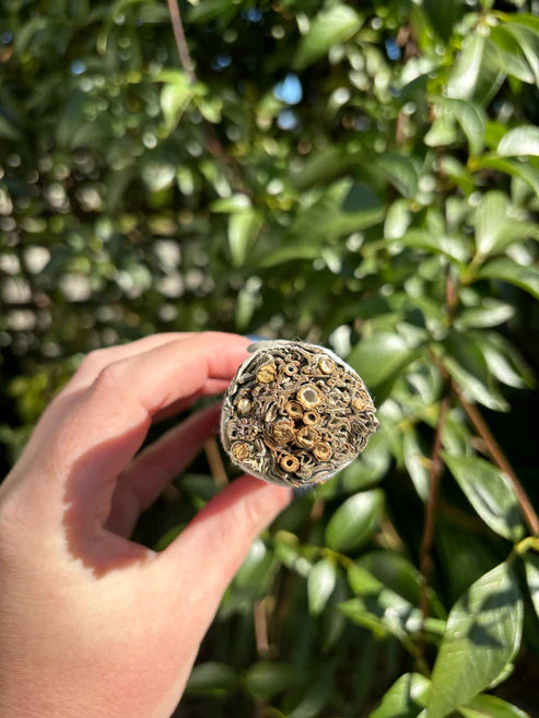 White Sage Smudge Stick Small 4inch TWIN PACK