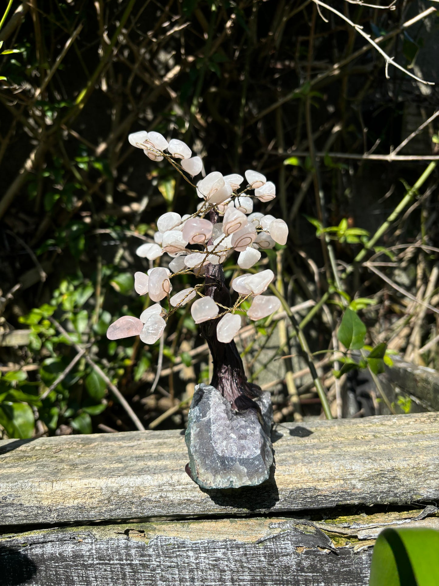 Rose Quartz With Amethyst Druze Base Extra Large Tree