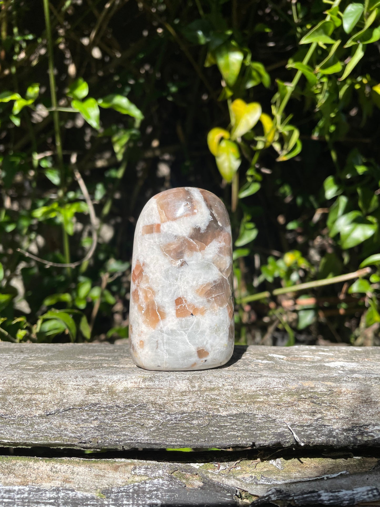 Polarity Moonstone Free Form A