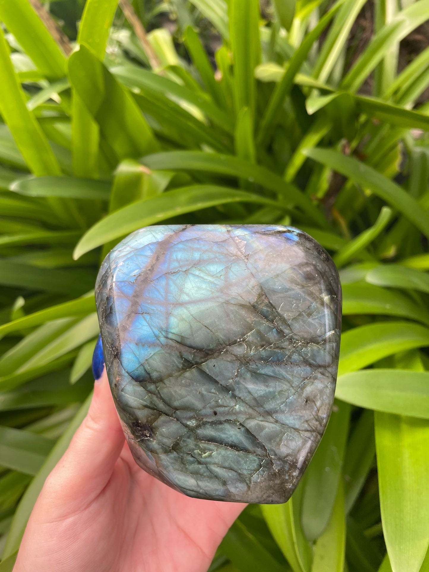 Labradorite Free Form C
