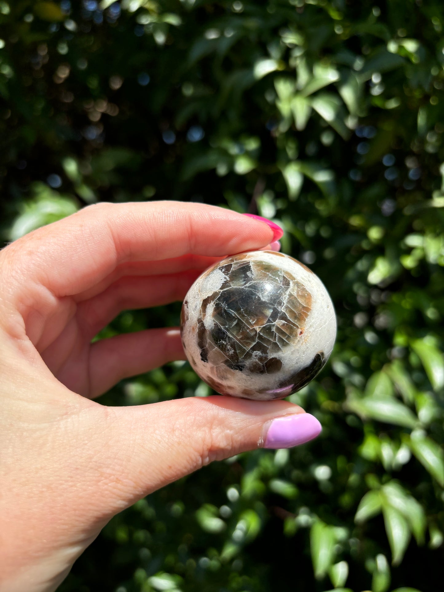 Polarity Moonstone Sphere C