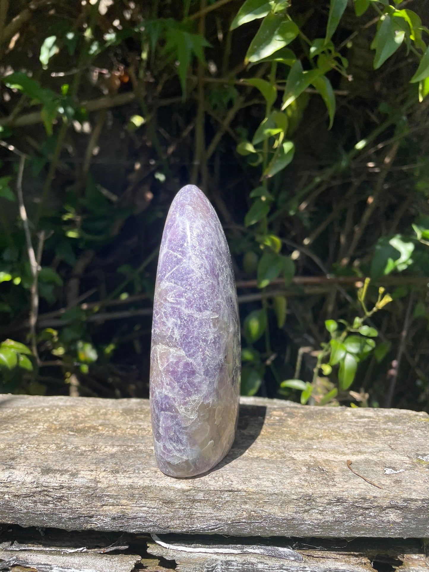 Lepidolite Free Form A