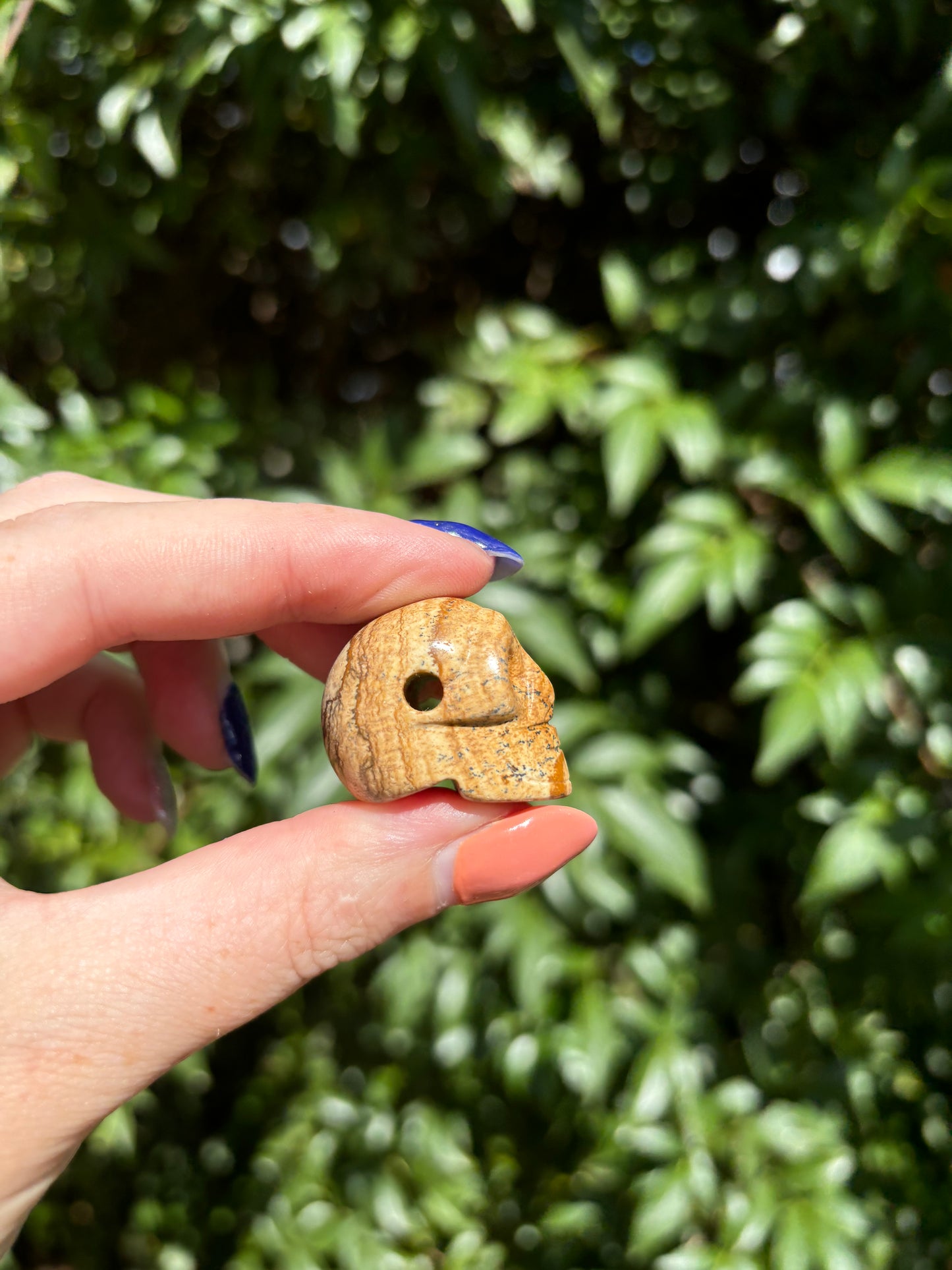 Picture Jasper Skull With Hole