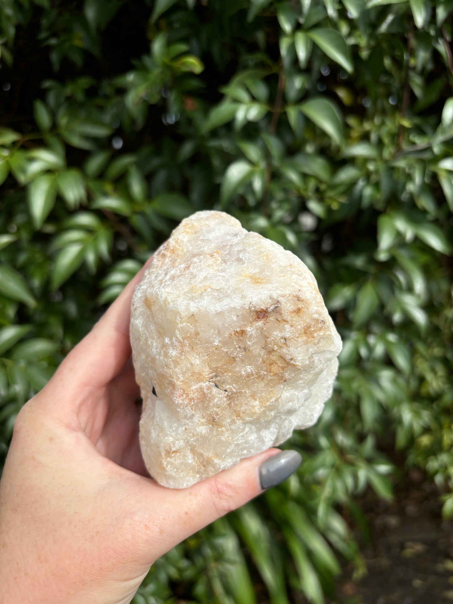 Black Tourmaline & Quartz Rough Piece C