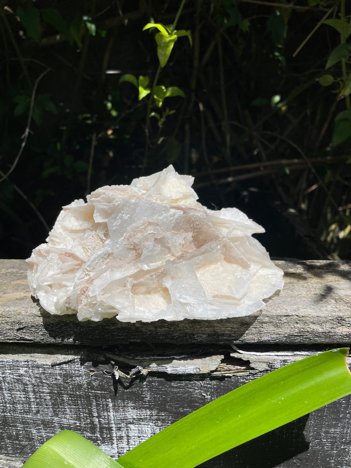 Angel Wing Calcite Cluster Piece B