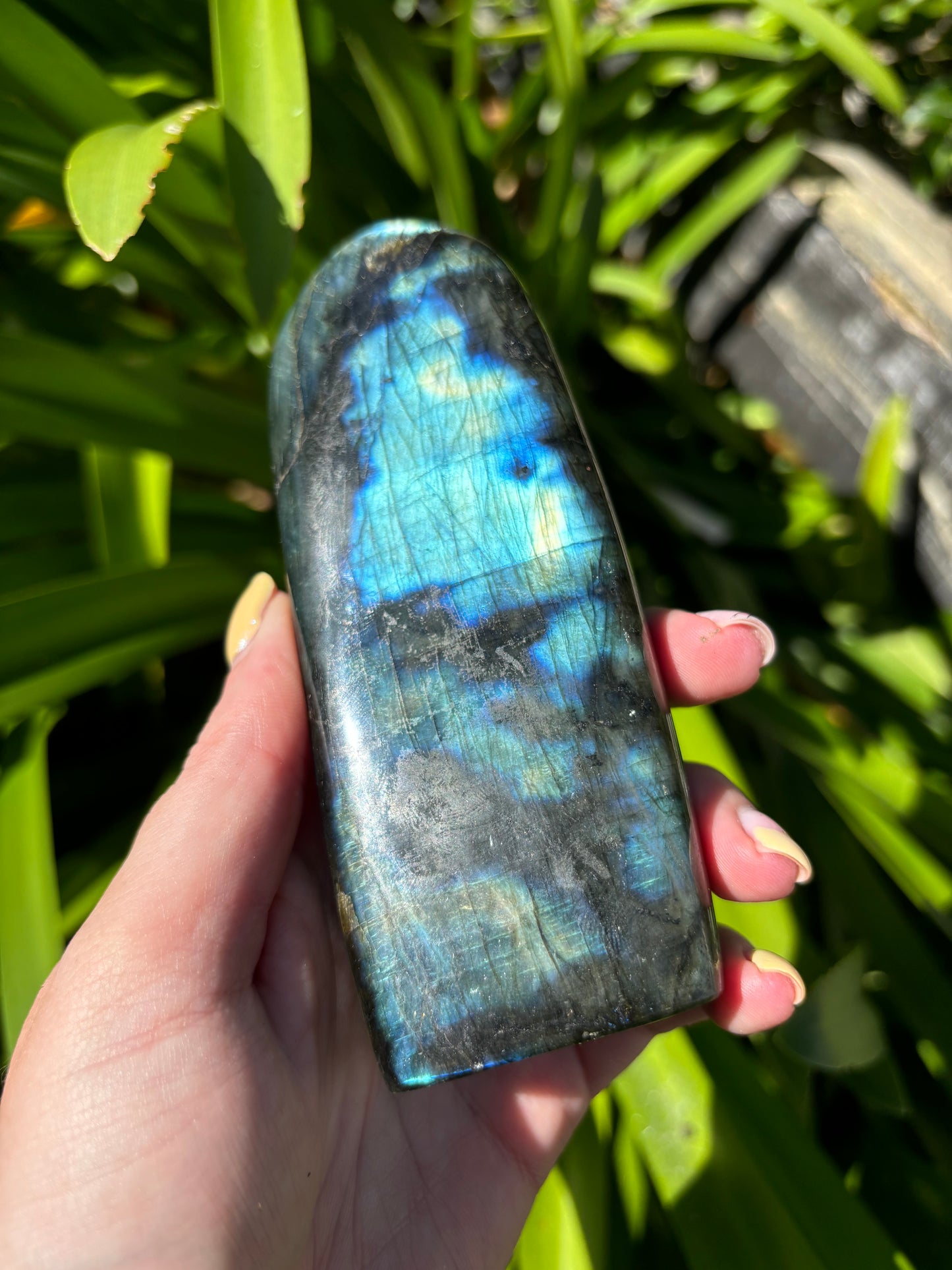 Labradorite Free Form D