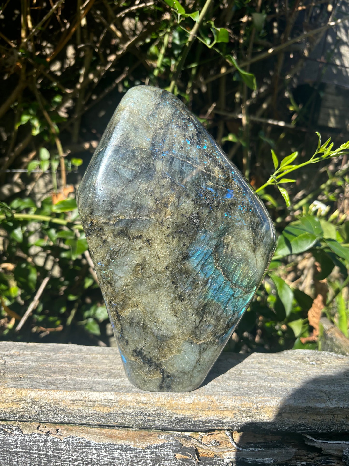 Labradorite Free Form Large 3kgs