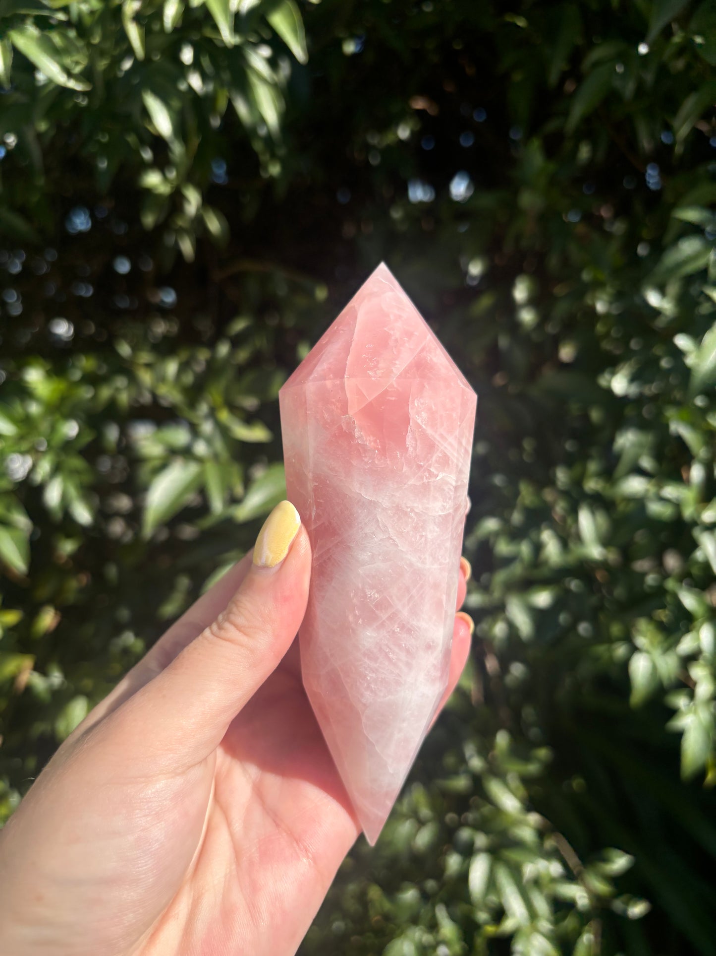 Rose Quartz Vogel Wand