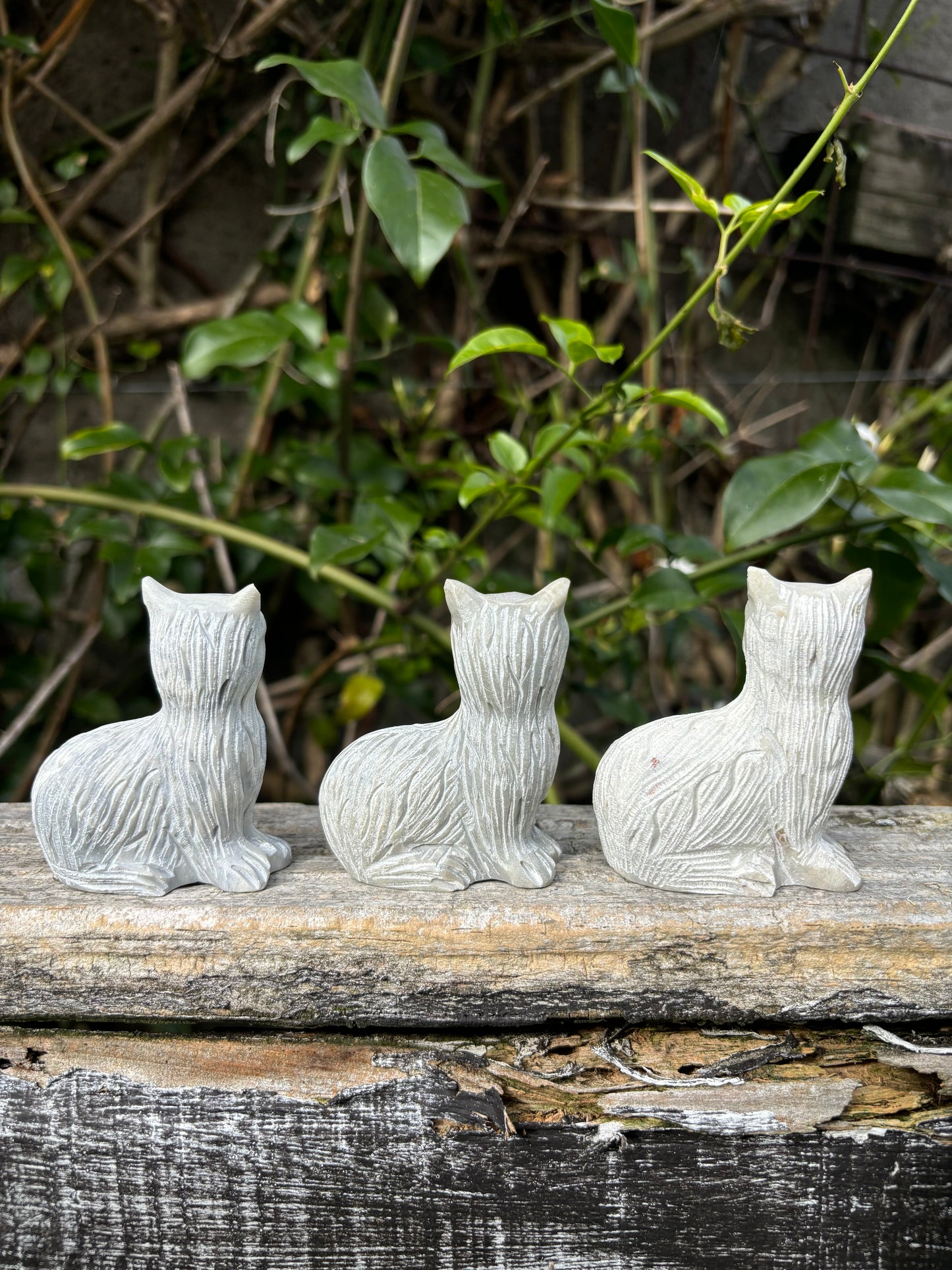 Soapstone White Cat Large
