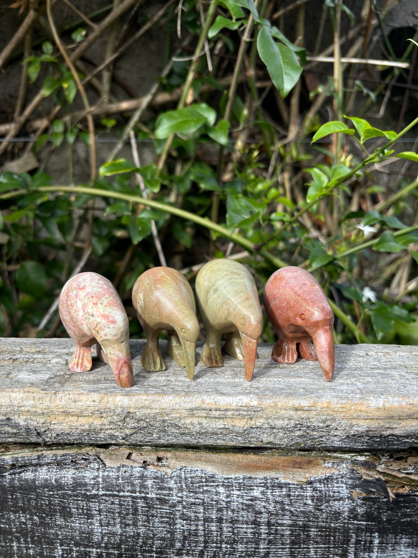 Kiwi Medium Soapstone