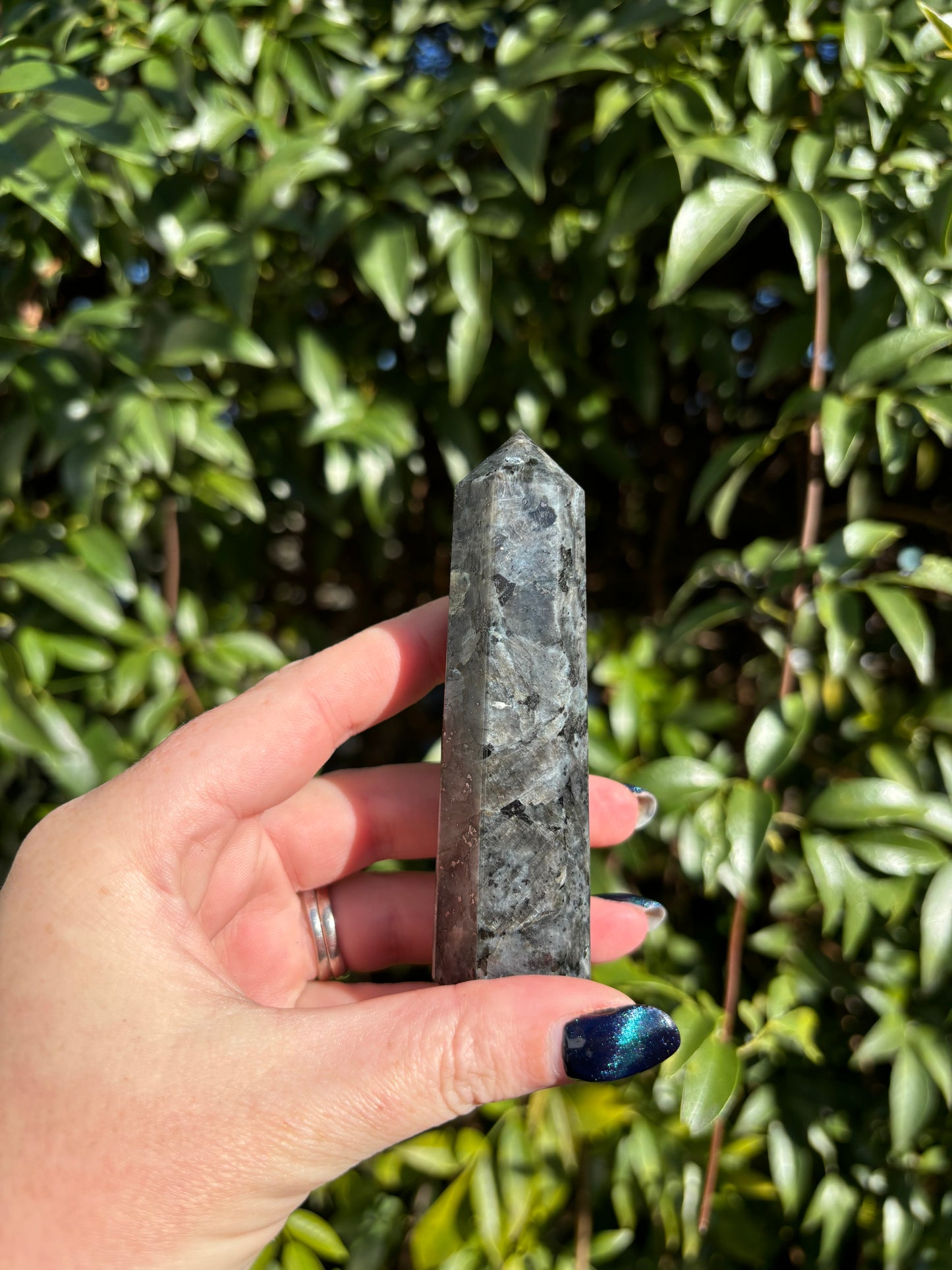 Larvikite Point C
