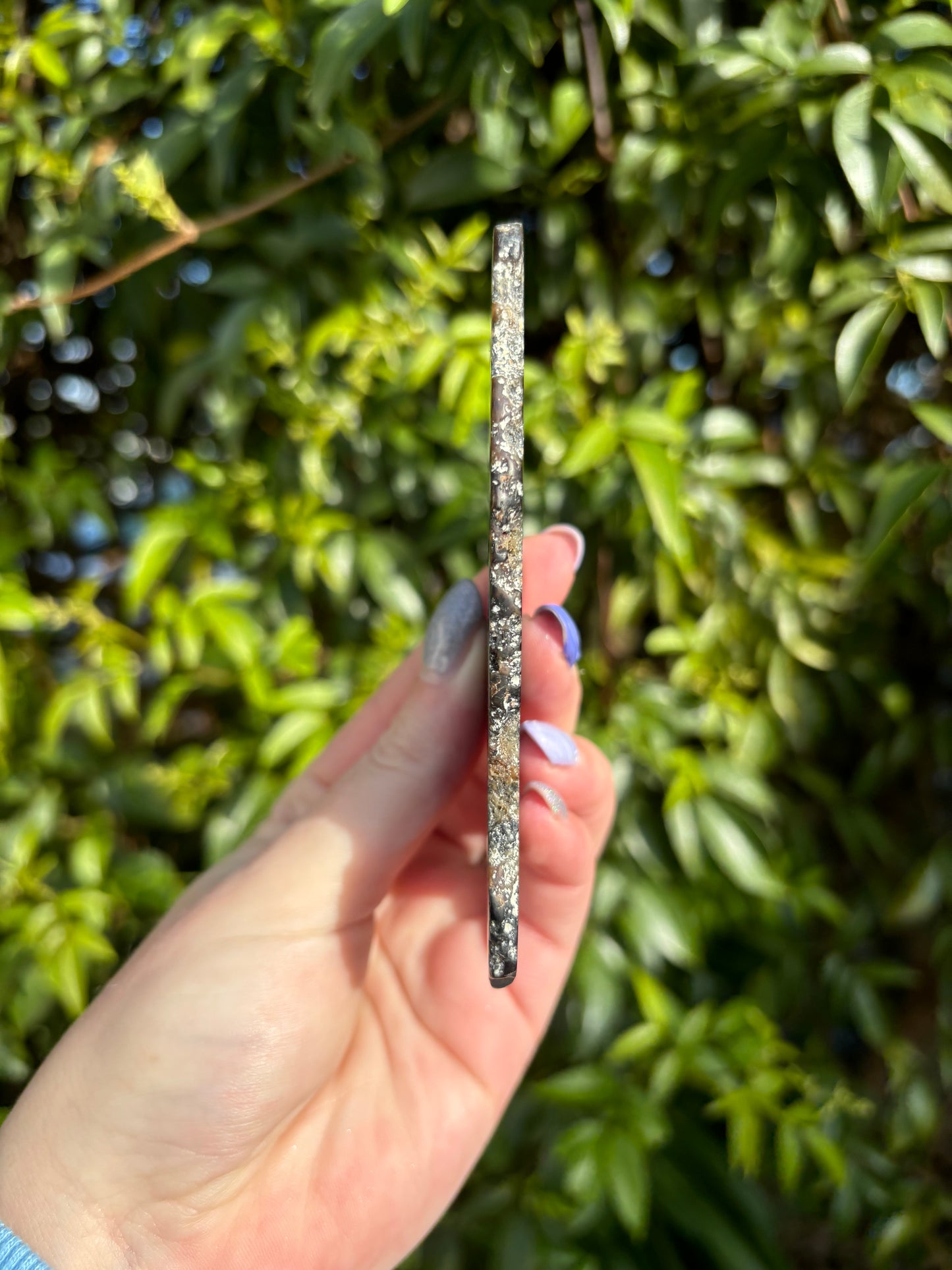 Agate Slice | Brown A