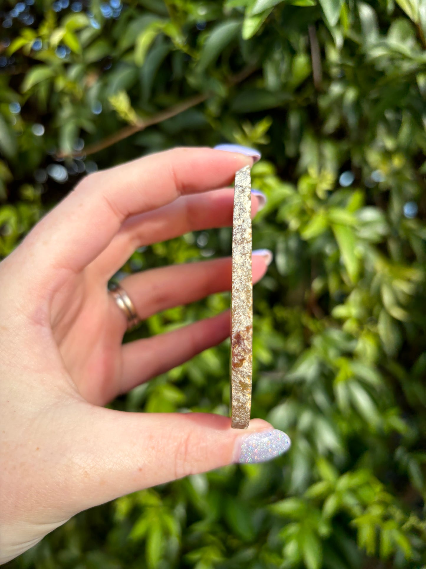 Agate Slice | Natural A