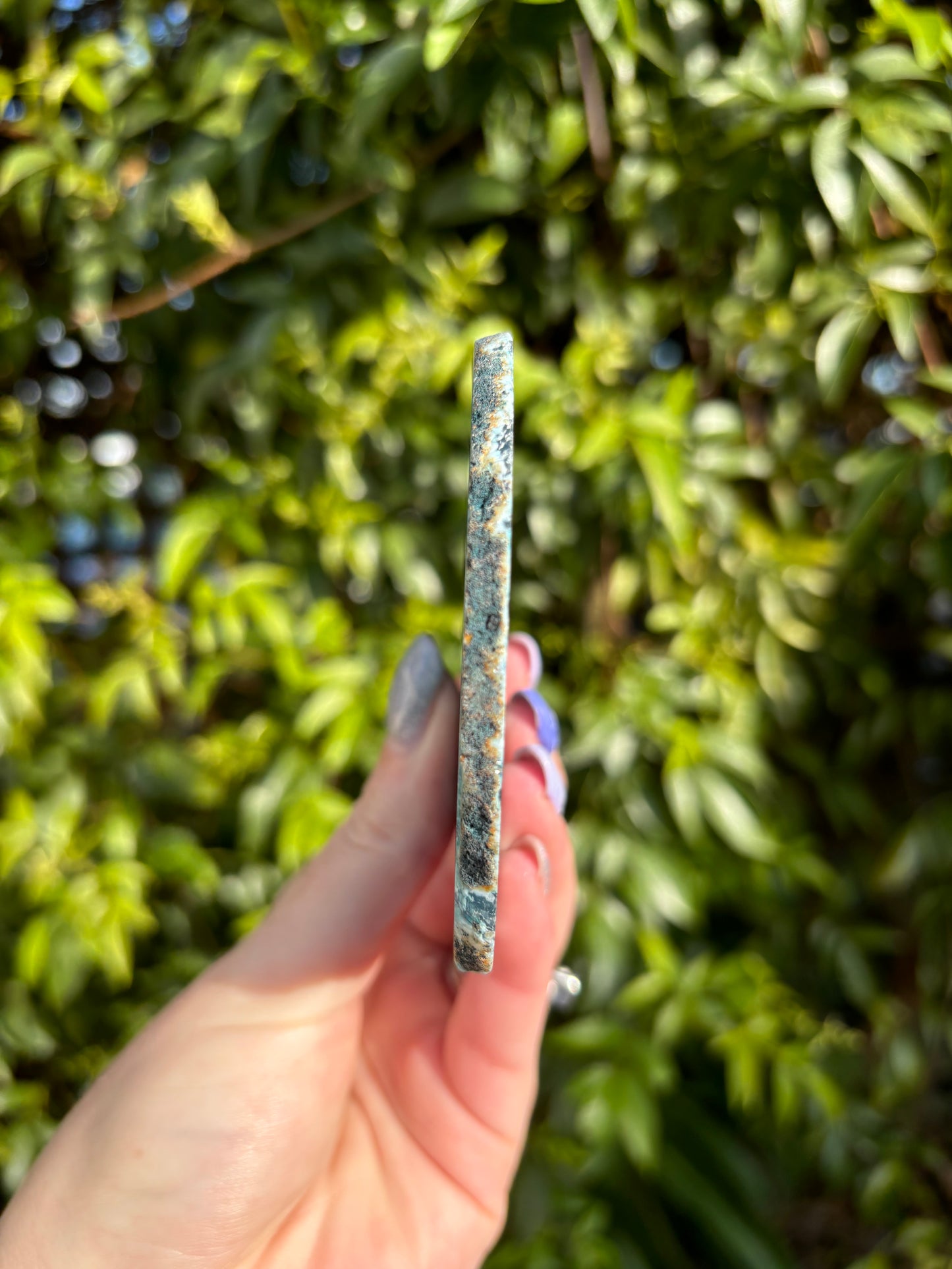 Agate Slice | Teal A