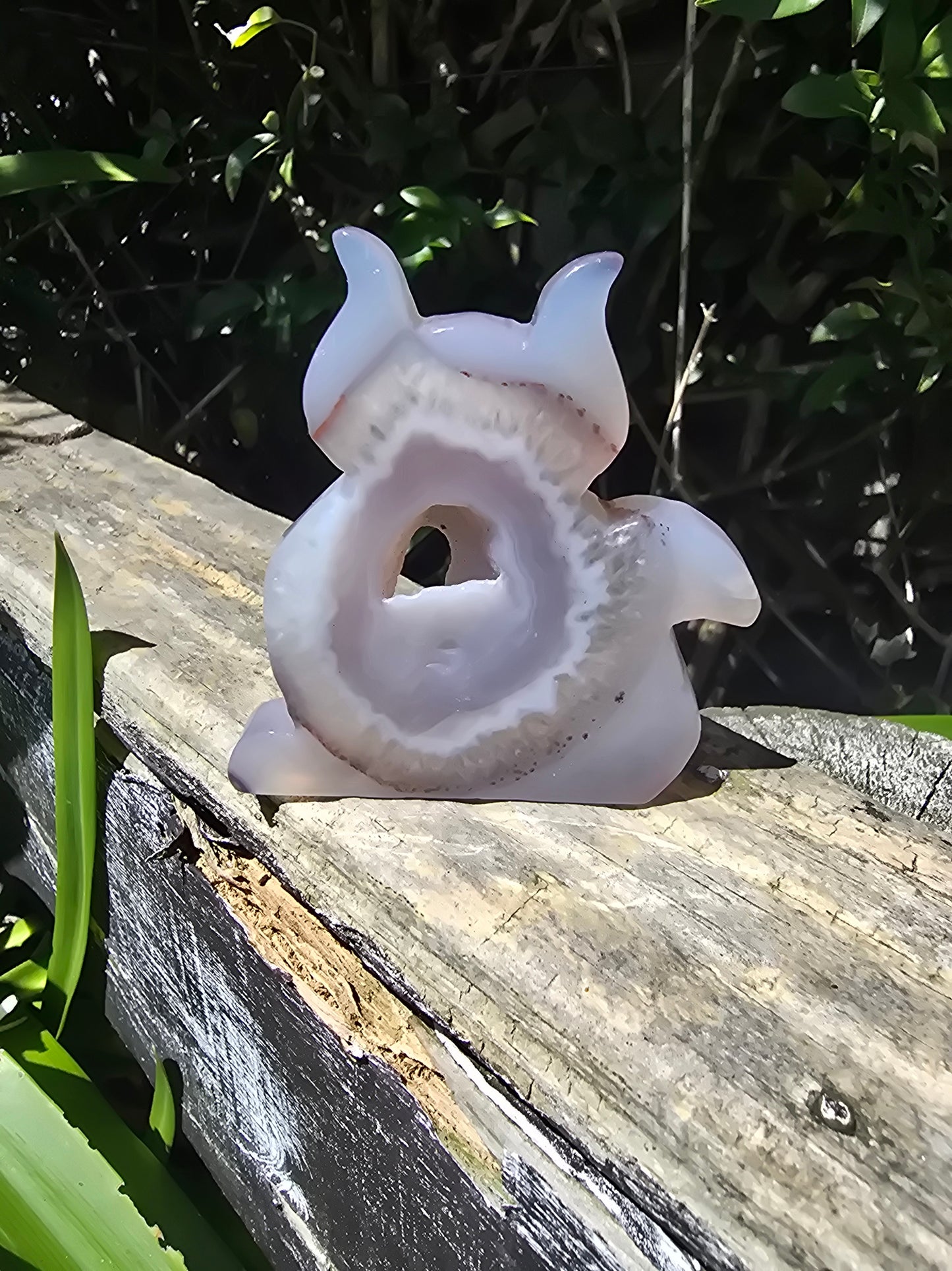 Natural Agate Druzy Large Cat G
