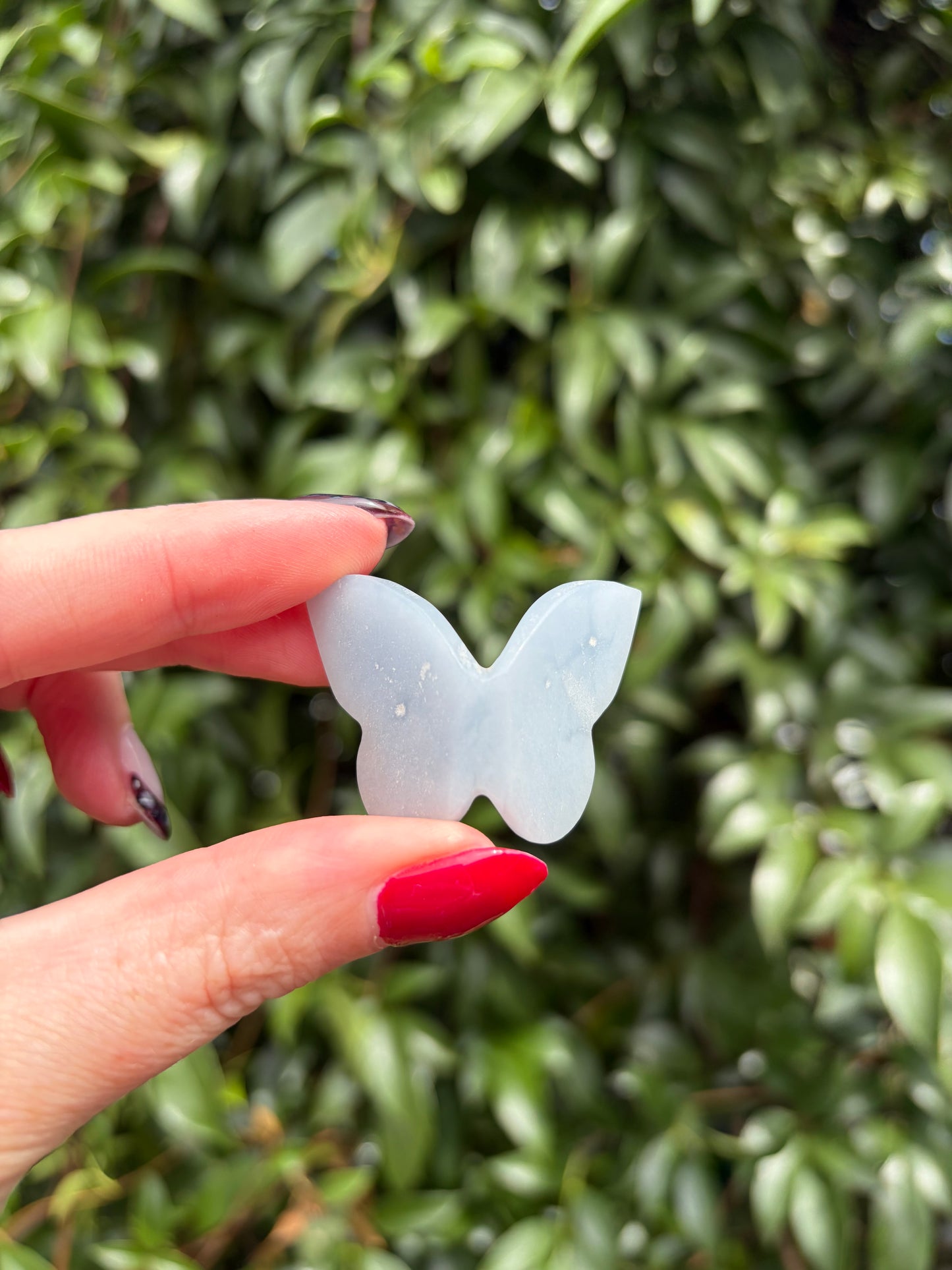 Angelite 3D Medium Butterfly B