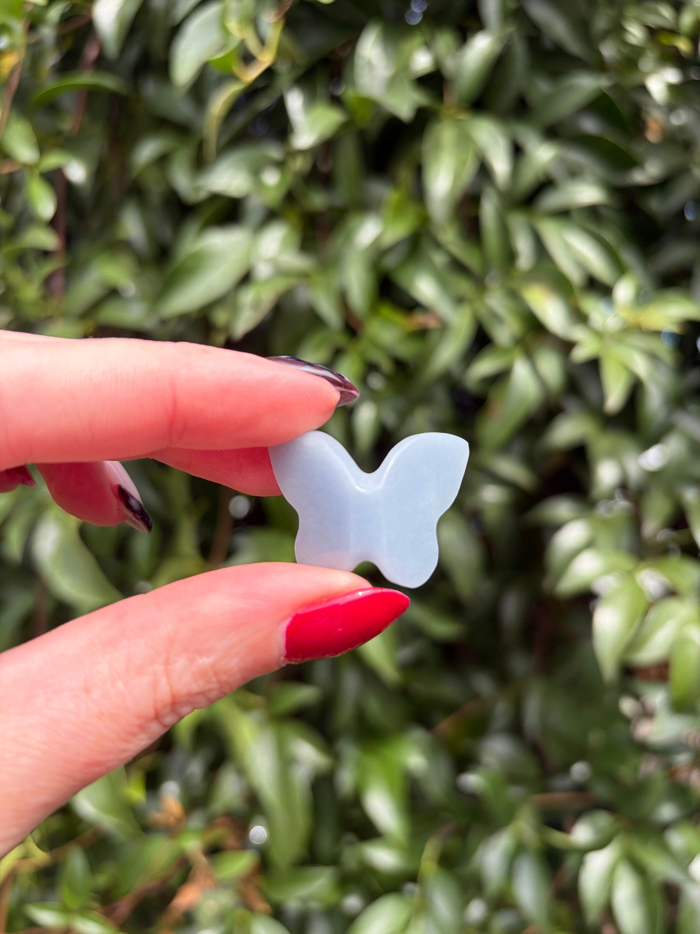 Angelite 3D Small Butterfly